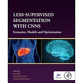 Less-Supervised Segmentation with Cnns: Scenarios, Models and Optimization.