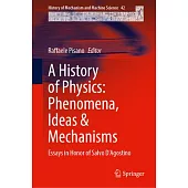A History of Physics: Phenomena, Ideas & Mechanisms: Essays in Honor of Salvo d’Agostino