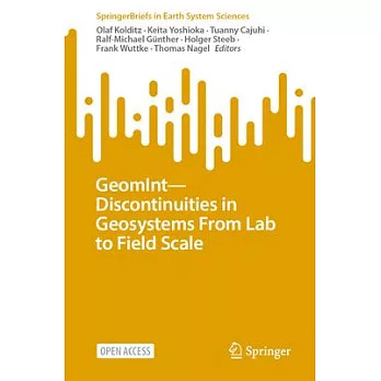 Geomint - Discontinuities in Geosystems from Lab to Field Scale