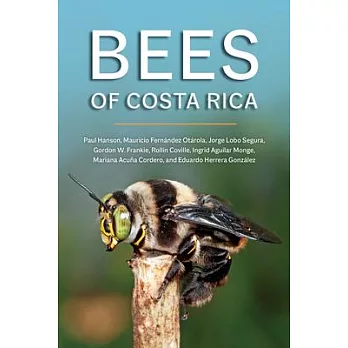 Bees of Costa Rica