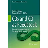 Co2 and Co as Feedstock: Sustainable Carbon Sources for the Circular Economy