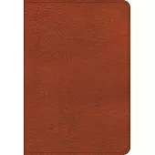 KJV Large Print Compact Reference Bible, Burnt Sienna Leathertouch