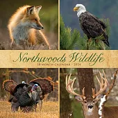 Northwoods Wildlife 2024 12 X 12 Wall Calendar