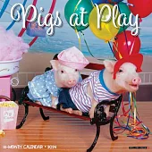 Pigs at Play 12 X 12 Wall Calendar