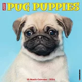 Just Pug Puppies 2024 12 X 12 Wall Calendar