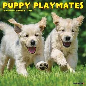 Puppy Playmates 2024 12 X 12 Wall Calendar
