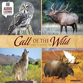 Call of the Wild 2024 12 X 12 Wall Calendar