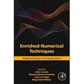 Enriched Numerical Techniques: Implementation and Applications