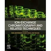 Ion-Exchange Chromatography and Related Techniques