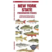 New York State Freshwater Fishes: A Waterproof Folding Guide to Native and Introduced Species