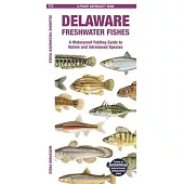 Delaware Freshwater Fishes: A Waterproof Folding Guide to Native and Introduced Species