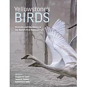 Yellowstone’s Birds: Diversity and Abundance in the World’s First National Park