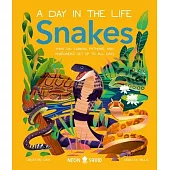 Snakes (a Day in the Life): What Do Cobras, Pythons, and Anacondas Get Up to All Day?
