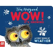 WOW! It’s Snowing!: A First Book of Weather