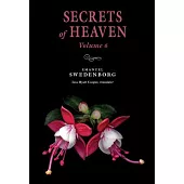 Secrets of Heaven 6: Portable: Portable New Century Edition Volume 6