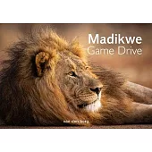Madikwe Game Drive