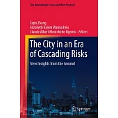 The City in an Era of Cascading Risks: New Insights from the Ground
