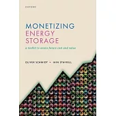Monetizing Energy Storage
