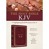 The Holy Bible Kjv: Highlighting God’s Promises to You (Crimson & Gold)