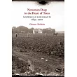 Norsemen Deep in the Heart of Texas: Norwegian Immigrants, 1845-1900