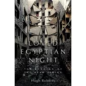 Loved Egyptian Night: Investigations of the Arab Spring