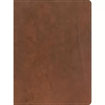 CSB Men’s Daily Bible, Brown Genuine Leather