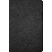 KJV Personal Size Giant Print Bible, Black Genuine Leather, Indexed