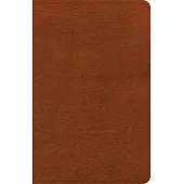 NASB Personal Size Bible, Burnt Sienna Leathertouch