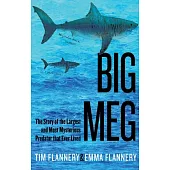 Big Meg