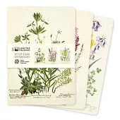 Royal Botanic Garden Edinburgh Set of 3 MIDI Notebooks