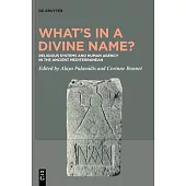 What’s in a Divine Name?: Religious Systems and Human Agency in the Ancient World
