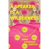 A Speaker Is a Wilderness: Poems on the Sacred Path from Brokenness to Wholeness