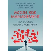 Model Risk Management: Risk Bounds Under Uncertainty
