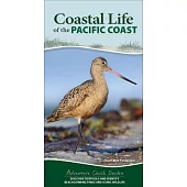 Coastal Life of the Pacific Coast: Discover Tidepools and Identify Beachcombing Finds and Iconic Wildlife