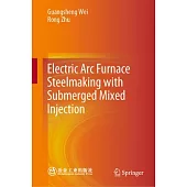 Electric ARC Furnace Steelmaking with Submerged Mixed Injection