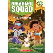 Wildfire Rescue: A Branches Book (Disaster Squad #1)
