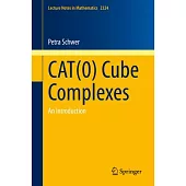 Cat(0) Cube Complexes: An Introduction