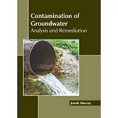 Contamination of Groundwater: Analysis and Remediation