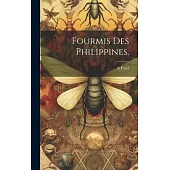 Fourmis des Philippines.