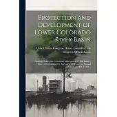 Protection and Development of Lower Colorado River Basin: Hearings Before the Committee on Irrigation of Arid Lands: House of Representatives, Sixty-S