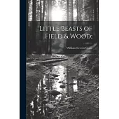 Little Beasts of Field & Wood;