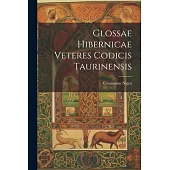 Glossae Hibernicae Veteres Codicis Taurinensis