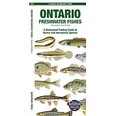 Ontario Fishes: A Folding Pocket Guide to All Known Native and Introduced Freshwater Species