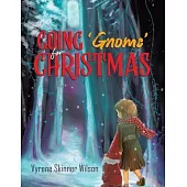Going ’Gnome’ for Christmas