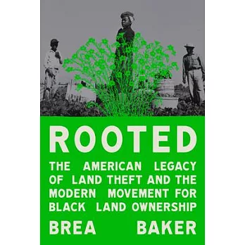 Rooted: The American Legacy of Land Theft & the Modern Movement for Black Land Ownership