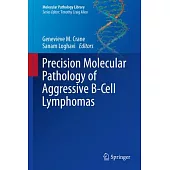 Precision Molecular Pathology of Aggressive B-Cell Lymphomas