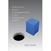 Democratic Policy Implementation in an Ambiguous World