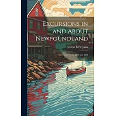 Excursions in and About Newfoundland: During the Years 1839 and 1840