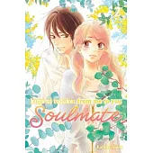 Kimi Ni Todoke: From Me to You: Soulmate, Vol. 2