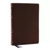 Life in Christ Bible: Discovering, Believing, and Rejoicing in Who God Says You Are (Nkjv, Brown Bonded Leather, Red Letter, Comfort Print)
